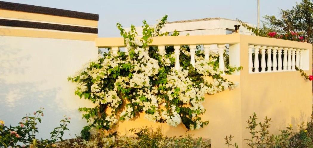 Royal Meadows - Igatpuri Bungalow C Exterior photo